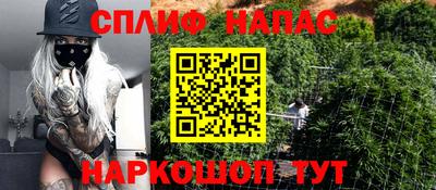 соль ск Будённовск
