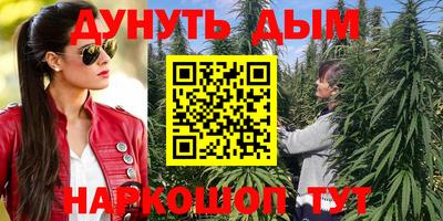 соль ск Будённовск