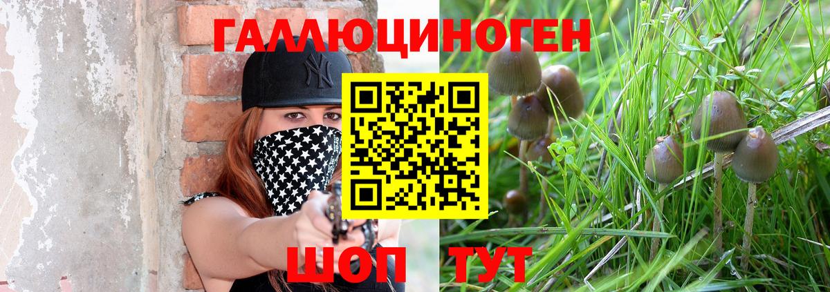 закладки  Вход с VPN  Углич  Псилоцибиновые грибы Cubensis  Галлюциногенные грибы MAGIC MUSHROOMS 